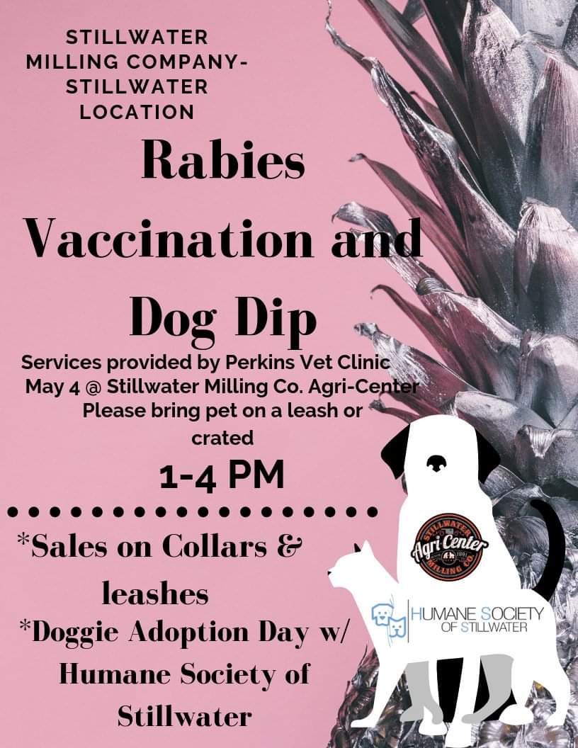 HSPets's tweet photo. Plans for the weekend? Come to @stillwatermill from 1-4 for Dog Dip Day! We will have some adoptables there as well. https://t.co/26ApAgRlgx