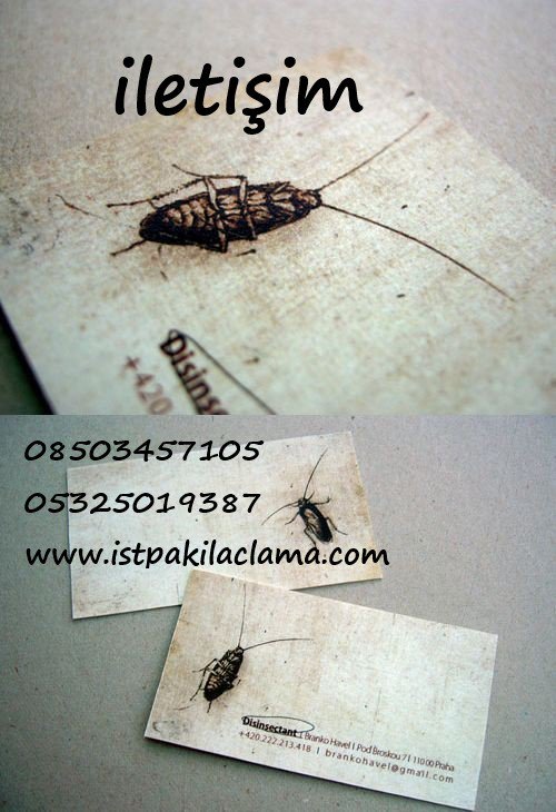 #istpakilaclama istpakilaclama.com #kemirgen #istanbul #ilaçlamaservisi #pestcontrol  #spraying #cockroach #hygienespraying   #fareilaçlama #pireilaçlama #istanbulilaçlama #profesyonel #hijyen #hamamböceği #sivrisinek #المبيدات #commercial #bug #jelilaçlama #RodentControl