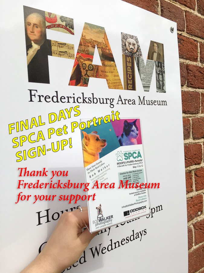 bobwalkerphoto's tweet photo. LAST CHANCE - $40 Pet Portrait Benefit @FredSPCA by award-winning Bob Walker Photography. LIMITED SESSIONS AVAILABLE.
INFO: https://t.co/aOSb7JRfgs …
#fredspca #lovefxbg #fxbg #fxbgva #fredericksburg #fredericksburgva @OddBoxStudios @FburgAreaMuseum https://t.co/BO4ClEd7Jv