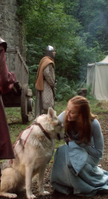 "sansa had chosen her name well. she was the smallest of the litter, the prettiest, the most gentle and trusting." 

imagine thinking i'll ever move on