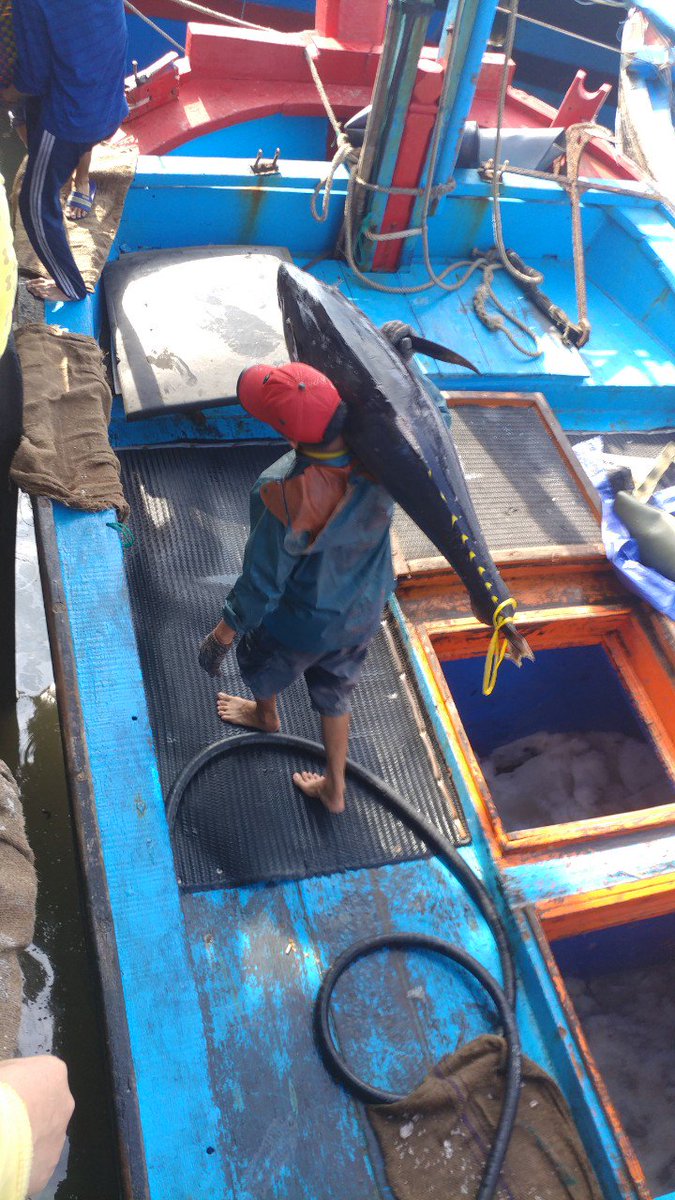 Hong, Dong Quang tweet media