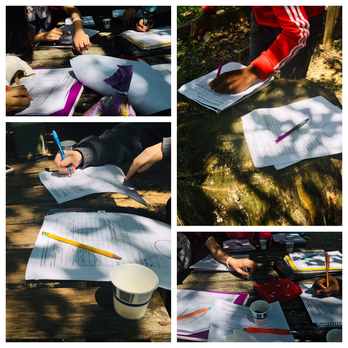 AmiPatelHop's tweet photo. Some of @CookWissSchoolβs 6th graders participating in a βjelly bean labβ in the outdoor classroom! #testablequestion: does smell impact taste? @CookWissHSA @CookWissWSC @nwphlschools #phled #sciencefunwithMrsPH π©πΎβπ¬ https://t.co/sEHgCh75Lc