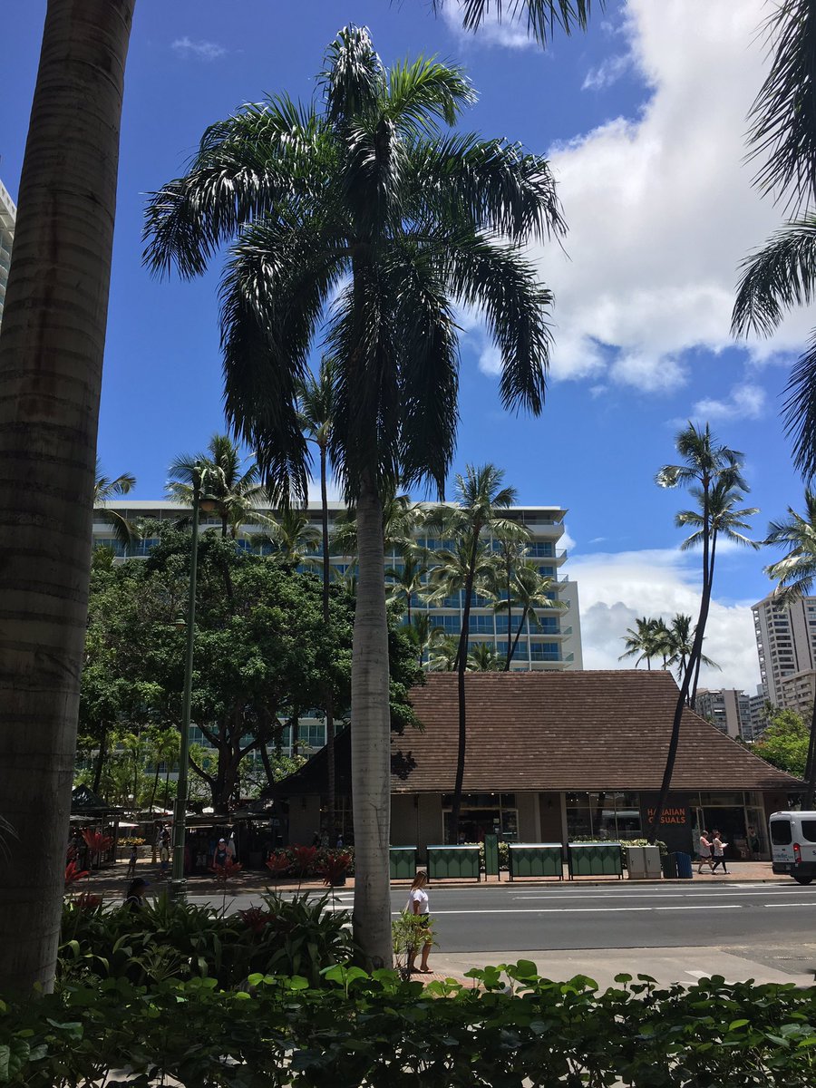 AllAboutTours's tweet photo. Rockin at Westin Moana Surfrider https://t.co/tVRCsD1d5I