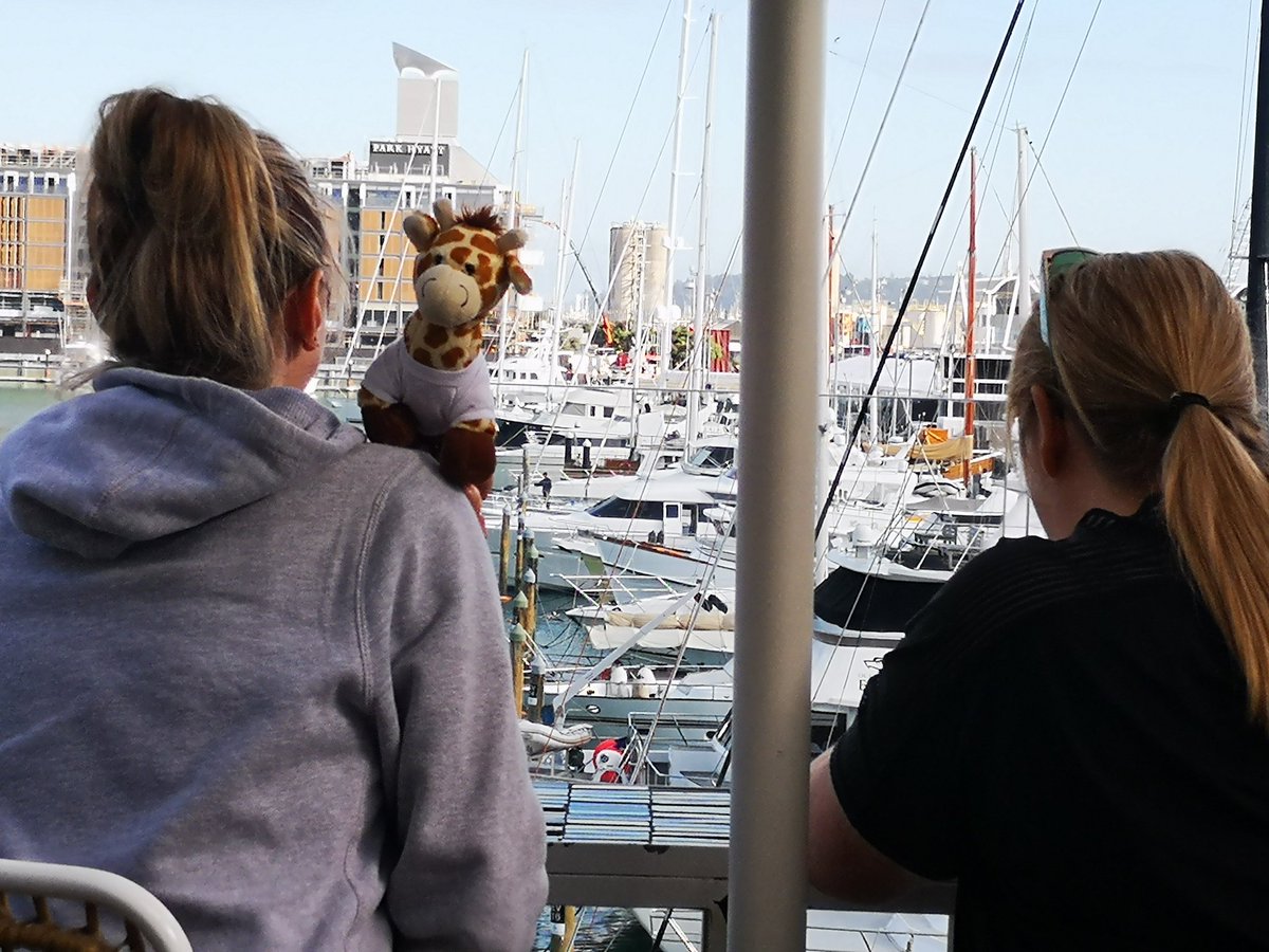 Karen Stewart tweet media