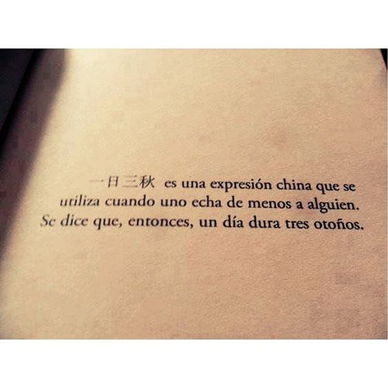 infopoesia tweet picture