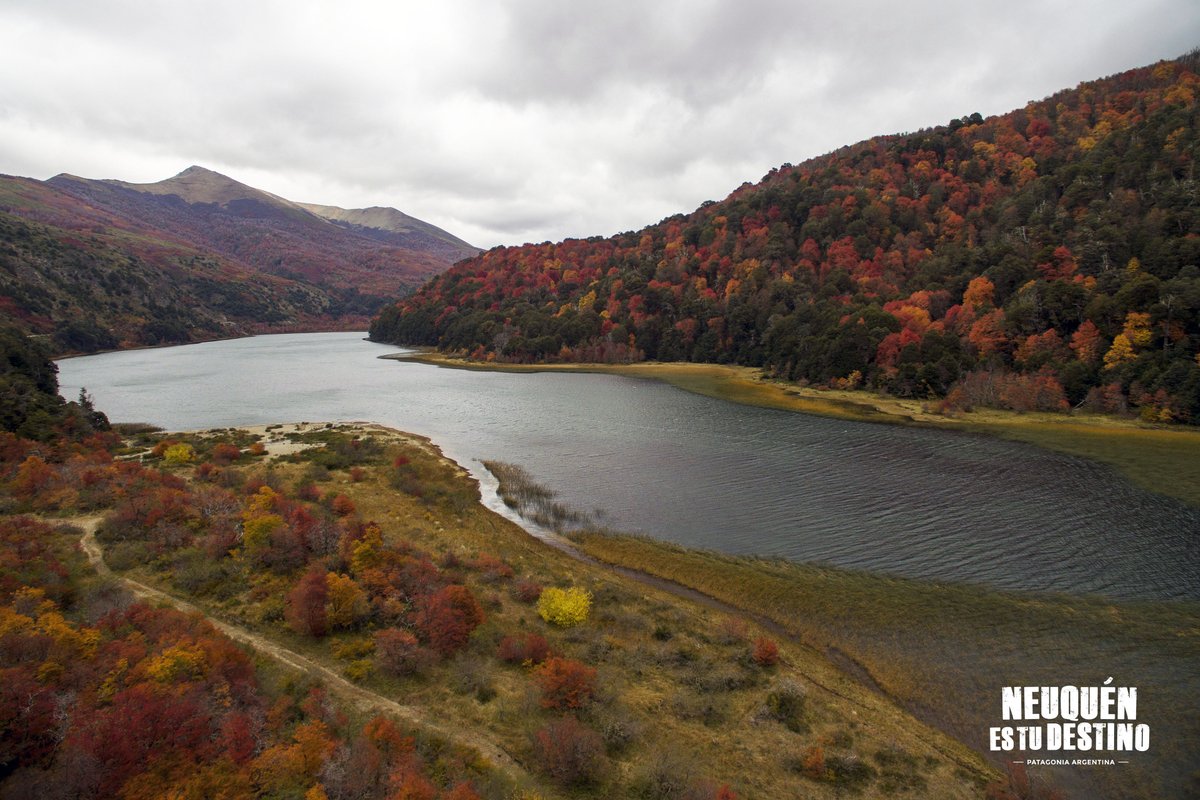 neuquentur's tweet photo. La Cordillera de los Andes se vive en colores. Rojos intensos, naranjas, ocres, verdes y delicados amarillos, se fusionan en otoño en todos los bosques, como éste del #LagoCurruhue, dentro del Parque Nacional Lanín.
Imposible no enamorarse del Otoño En Neuquen! 🍁🍂😍 https://t.co/sfURh1ymLp