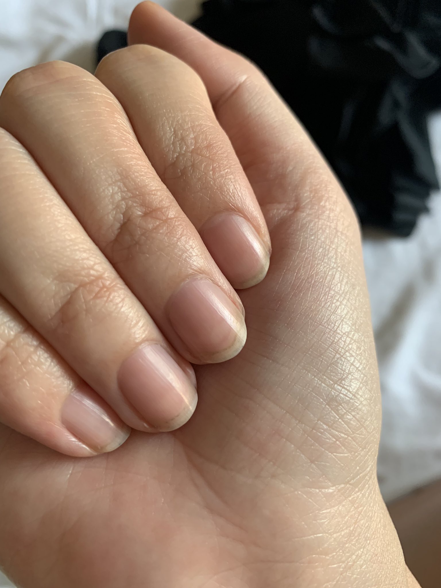 My Honest Review of Press-On Nails - Michelle's In Style