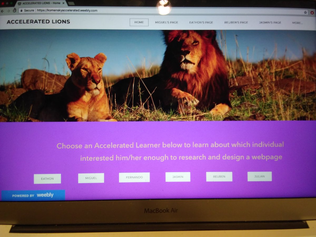 Komensky Accelerated Learners unveil their project of designing own website about people that interested them at Multicultural Fair. #KomenskyMatters #D100Inspires