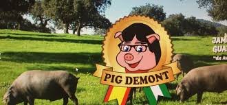 Portem anys rebens insults. Ens diuen Nazis, lazis, supremacistes, xenòfobs, colpistes... I ara fan escarafalls per que els han dit porcs.

No els recordo tan exaltats quan eren ells els que ens ho deien. De fet, recordo al Jordi Cañas molt sonrient repiulant-ho.

Hipòcrites!