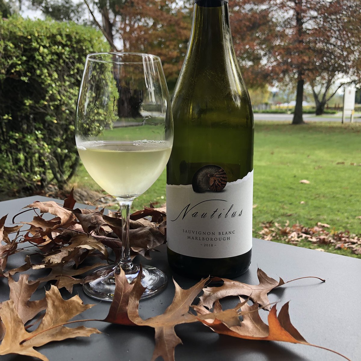 It’s a chilly start to #sauvblanc day here in Marlborough! Slightly jealous of your garden tasting and tacos <a href="/amylieberfarb/">Amy Lieberfarb</a> ! #sauvblanc #nzwine #nautilusestate