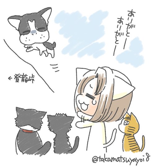 O Xrhsths たかまつやよい 6 5コミティア こ24b Sto Twitter 一緒に八丈島に移住し 島暮らしエッセイ 流されて八丈島 で最初から看板犬を務めてくれたボストンテリアのなみへいが昨夜おそく亡くなりました 読者さんや島のみなさまにかわいがっていただき とても O Xrhsths たかまつやよい 6 5コミティア こ24b Sto Twitter 一緒に八丈島に移住し 島暮らしエッセイ 流されて八丈島 で最初から看板犬を務めてくれたボストンテリアのなみへいが昨夜おそく亡くなりました 読者さんや島のみなさまにかわいがっていただき とても