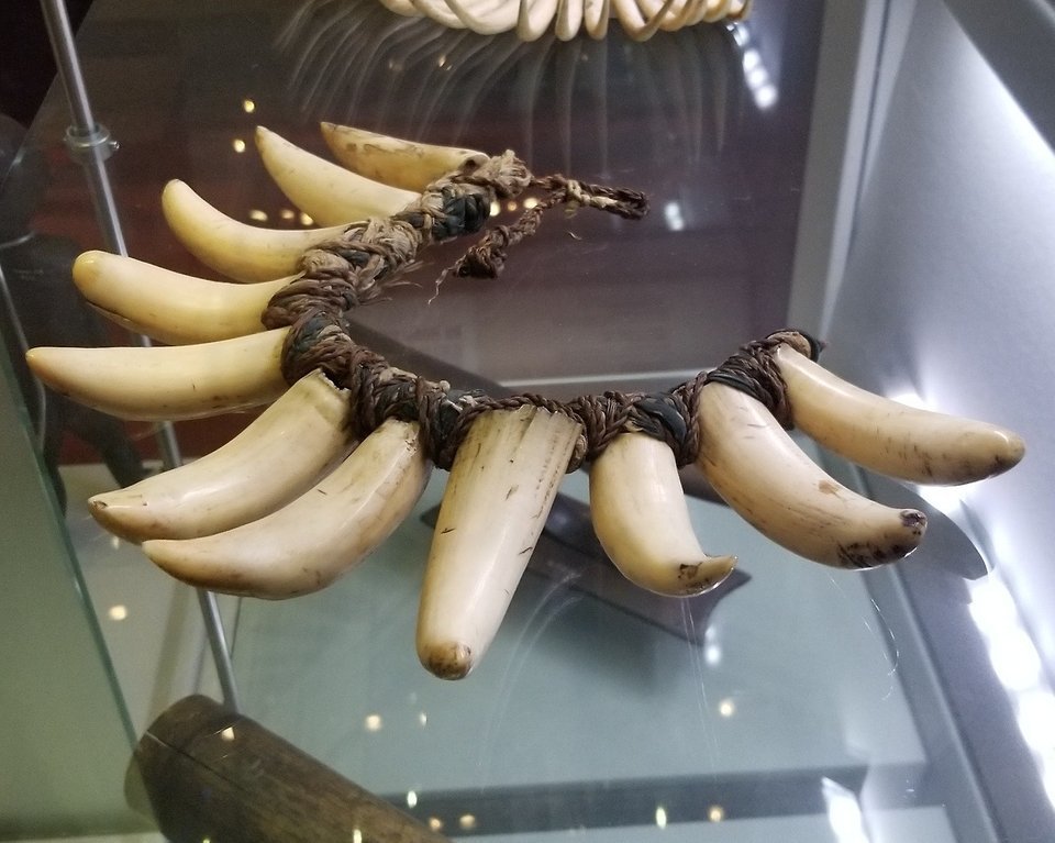 MuseumOfJewelry's tweet photo. A #Tabua (taa-boo-ah) - a #whaletooth necklace prized by Fijians. 1800s. https://t.co/ZNHbTjXnF3