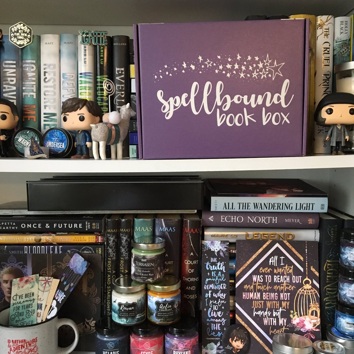 SpellboundBox's tweet photo. We have new boxes and only 11 May boxes left for purchase! Use the code MAMA5 or CINNAMON5 to save 5% and get ahold of one of these boxes for yourself :) #book #books #bookstagram #bookish #bookphotography https://t.co/w2mslZ0aSo