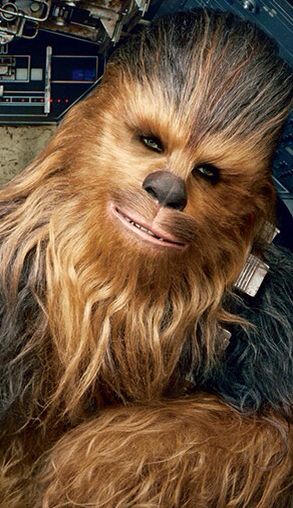 Unclekage's tweet photo. Just learned that Peter Mayhew has passed away. He gave us one of the most iconic characters in science fiction history. https://t.co/Vz0xfXi0zY