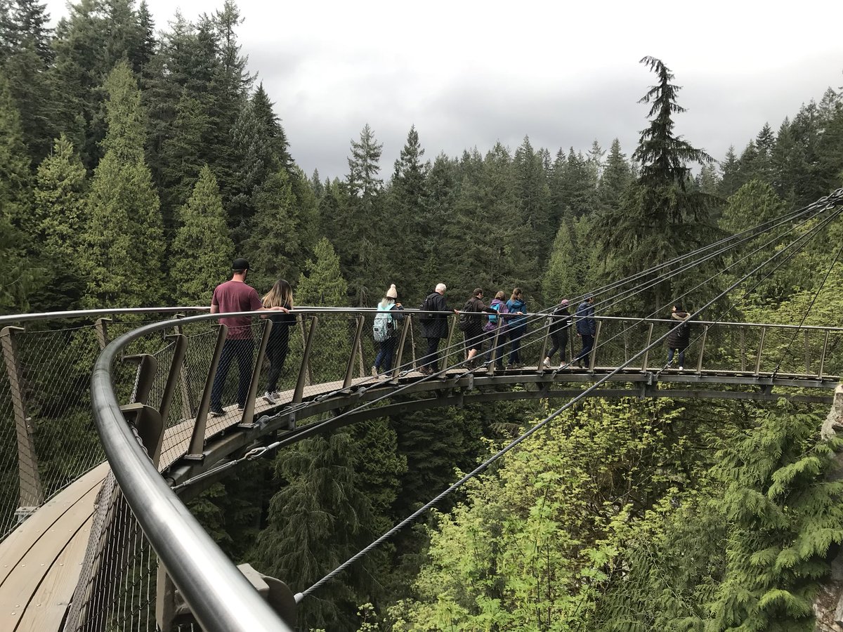 ChloeThomas_Dr's tweet photo. Spent some time at the suspension bridge and tree top walks today #Vancouver #ARVO19 https://t.co/SAe4AwFPqa