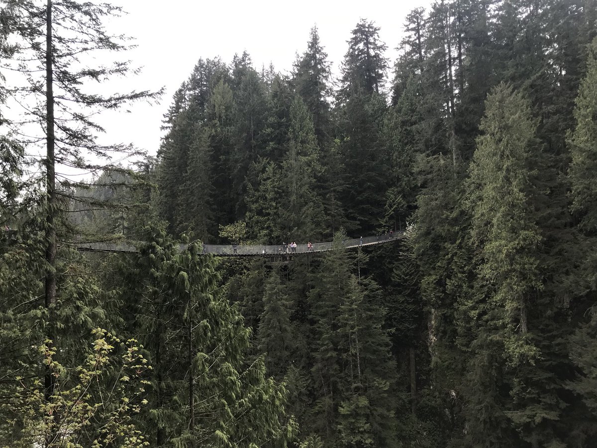 ChloeThomas_Dr's tweet photo. Spent some time at the suspension bridge and tree top walks today #Vancouver #ARVO19 https://t.co/SAe4AwFPqa