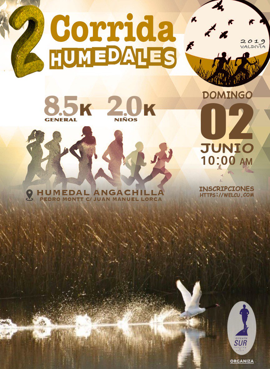 Jaimegro tweet media