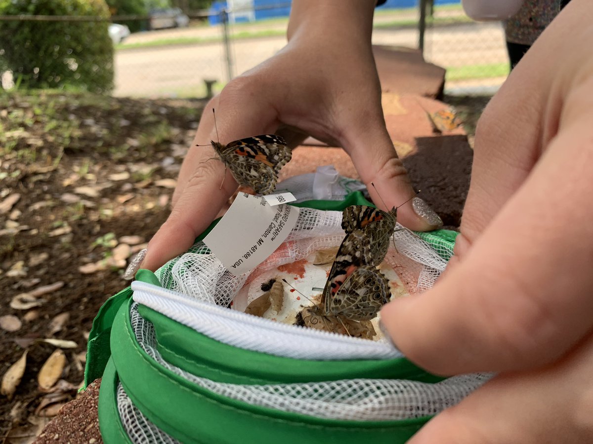 Mrs. Benjamin & Mrs. Proctor tweet media