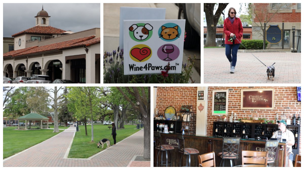 Read all about our recent trip to <a href="/PasoRoblesWine/">Paso Robles Wine</a> , wine country. We visited 11 #dogfriendly vineyards for #Wine4Paws -- Plan your own trip today! #vineyard #dog #wine --blog.corkhounds.com/2019/04/30/par…