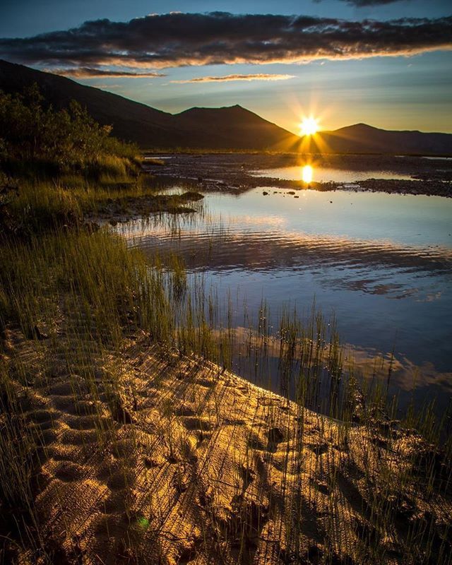 explorfairbanks's tweet photo. Glorious midnight sunset from the banks of the Noatak River in the Gates of the Arctic National Park. We have a new Midnight Sun Season blog on our website (link in our bio) featuring this sublime capture by @david_w_shaw .
.
.
.
#explorefairbanks
#fairb… https://t.co/GoUho36ph5 https://t.co/J8hyCNIsAL