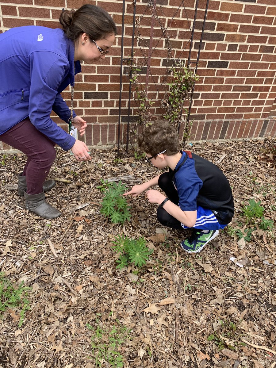 msginelles2nd's tweet photo. Butterfly release for our life cycle unit! So exciting to see them fly! #screamsofjoy @LincolnK8School https://t.co/JAEtSDmm97