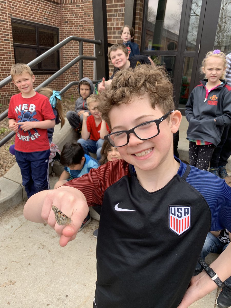 msginelles2nd's tweet photo. Butterfly release for our life cycle unit! So exciting to see them fly! #screamsofjoy @LincolnK8School https://t.co/JAEtSDmm97