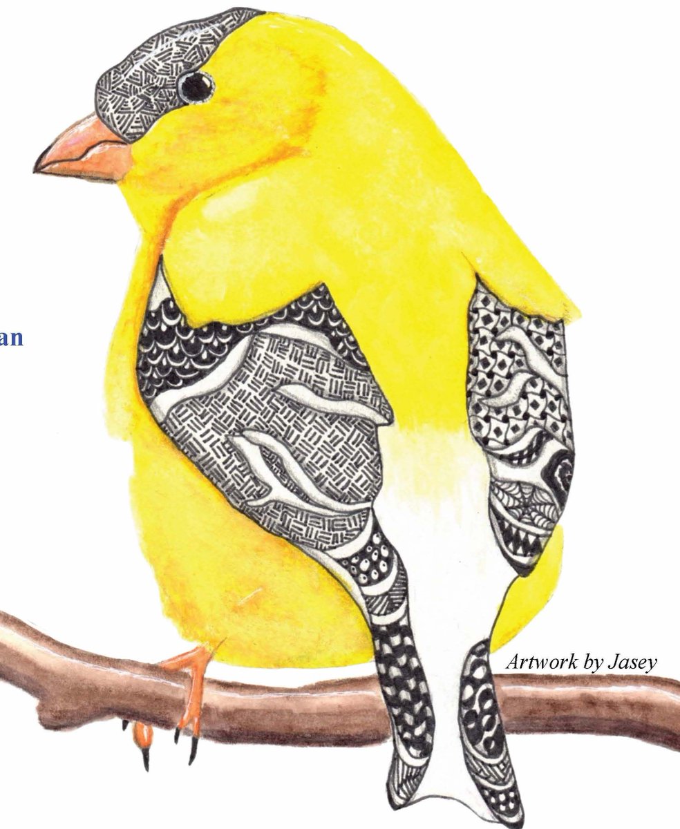 Did you know American Goldfinches completely molt their feathers twice a year!  Read the new Jasey's Bird House highlighting the American Goldfinch to learn more: buff.ly/2VbbyWN