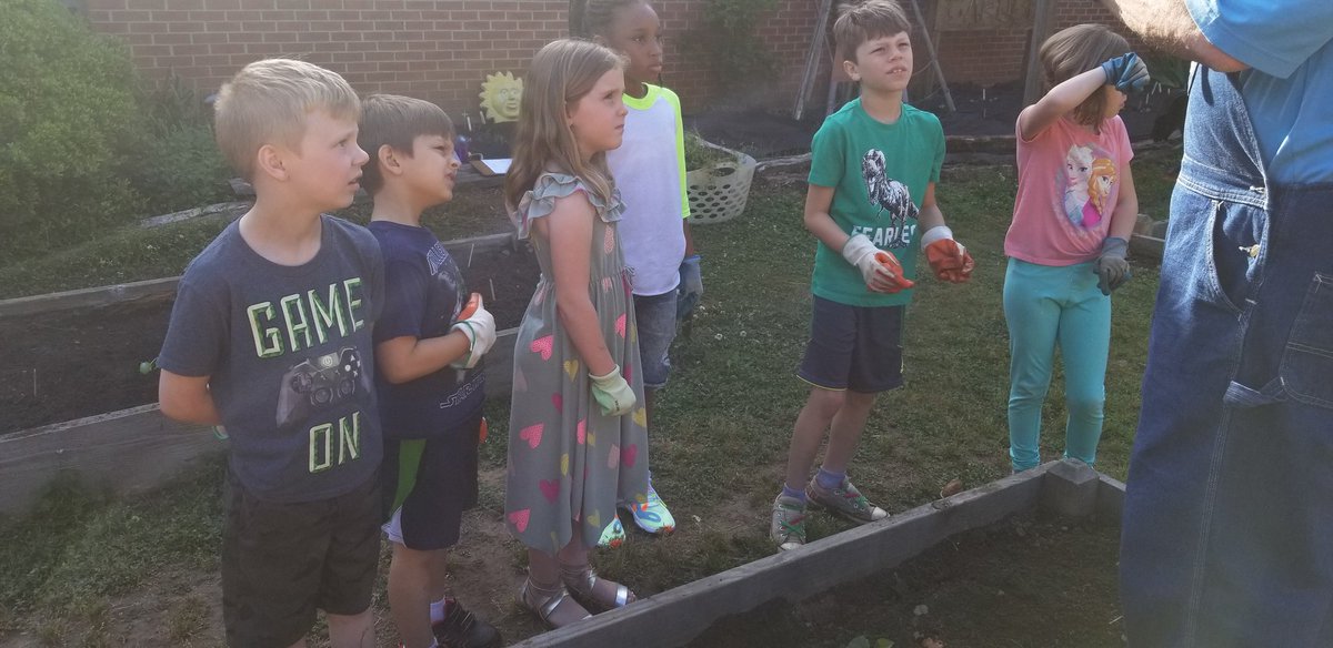 Dlorenz16's tweet photo. 1st grade planting sweet potatoes in our Carver garden. @AddisonEle1 @Dlorenz16 #addisonleads https://t.co/lJDtbmYqEl