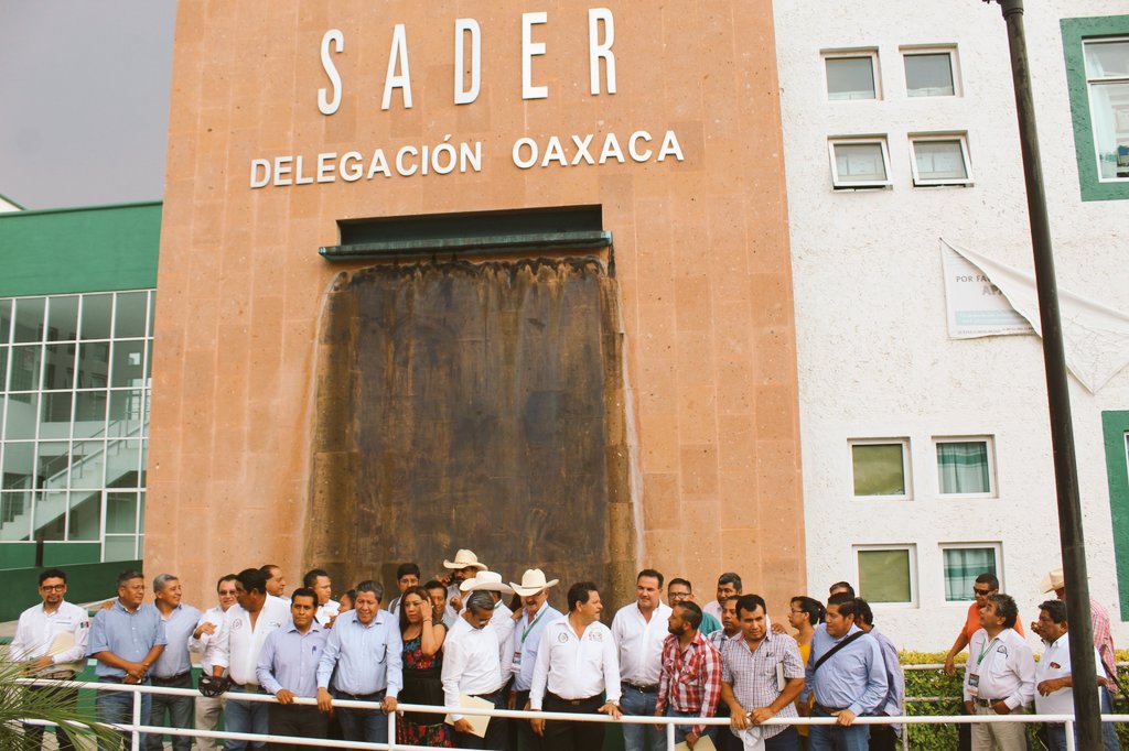 RigobertoGomez_'s tweet photo. ¡Buenas noticias para la #Oaxaca!

El Lic @DavidMonrealA coordinador de ganadería de @SADER_MEX anunció el arranque del programa #CréditoGanaderoALaPalabra con una inversión de 450 mdp, para repoblamiento de hato bovino. 
@vmva1950 @4aTMexico @Sedapa_GobOax @CNOG_MX https://t.co/osjidCCVvi