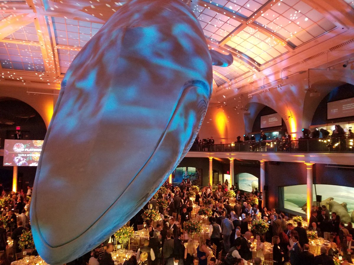 BetsyKim's tweet photo. #AWhaleOfATime Dinner under the whale @AMNH #CoreNetNYC19 @CoreNetGlobalNY annual dinner real estate scholarship winners recognized! #NYC #CRE #FullHouse #❤WhatYouDo and watch for our @GlobeStcom @ALMMedia SLIDESHOW... https://t.co/4uvCcBmXWj