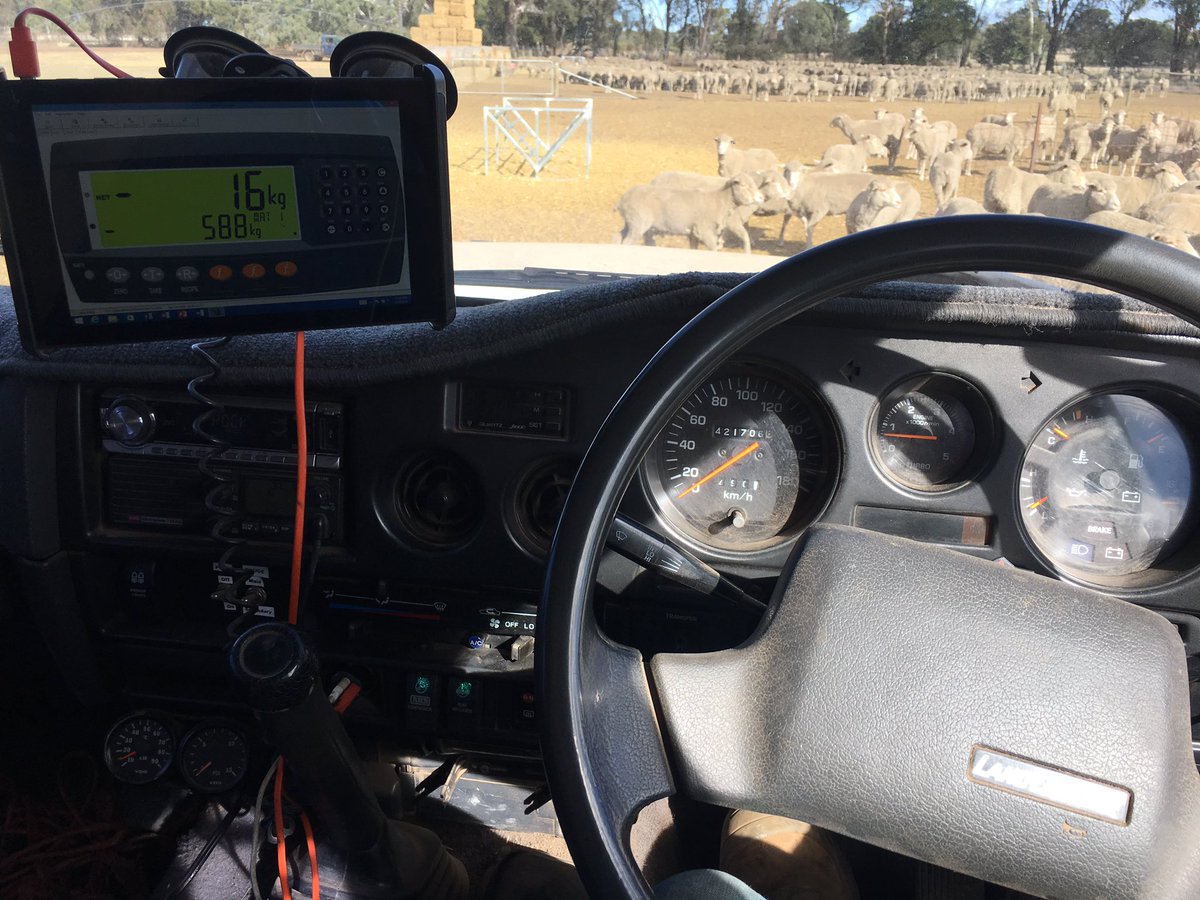 Getting this feeding down to a fine art, heater on, tunes playing and a gate opener means I don’t even have to get out.