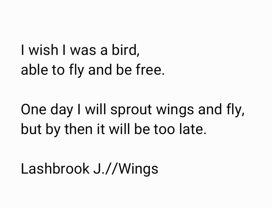 I've started writing again. Heres my first piece. #poem #thoughtsinwords #wings
