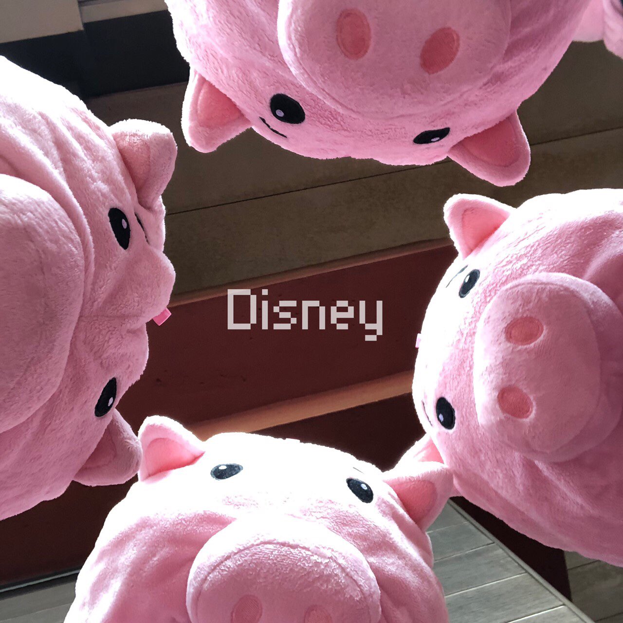 れお 念願すぎるハムディズニー 10匹のハムがディズニーに大量発生 幸せな時間でした 充実しまくり ありがとう ガチの平成最後のディズニーですっ やっぱり自由人 みんな素を出しまくりだ 余韻に浸る いちはち愛してる