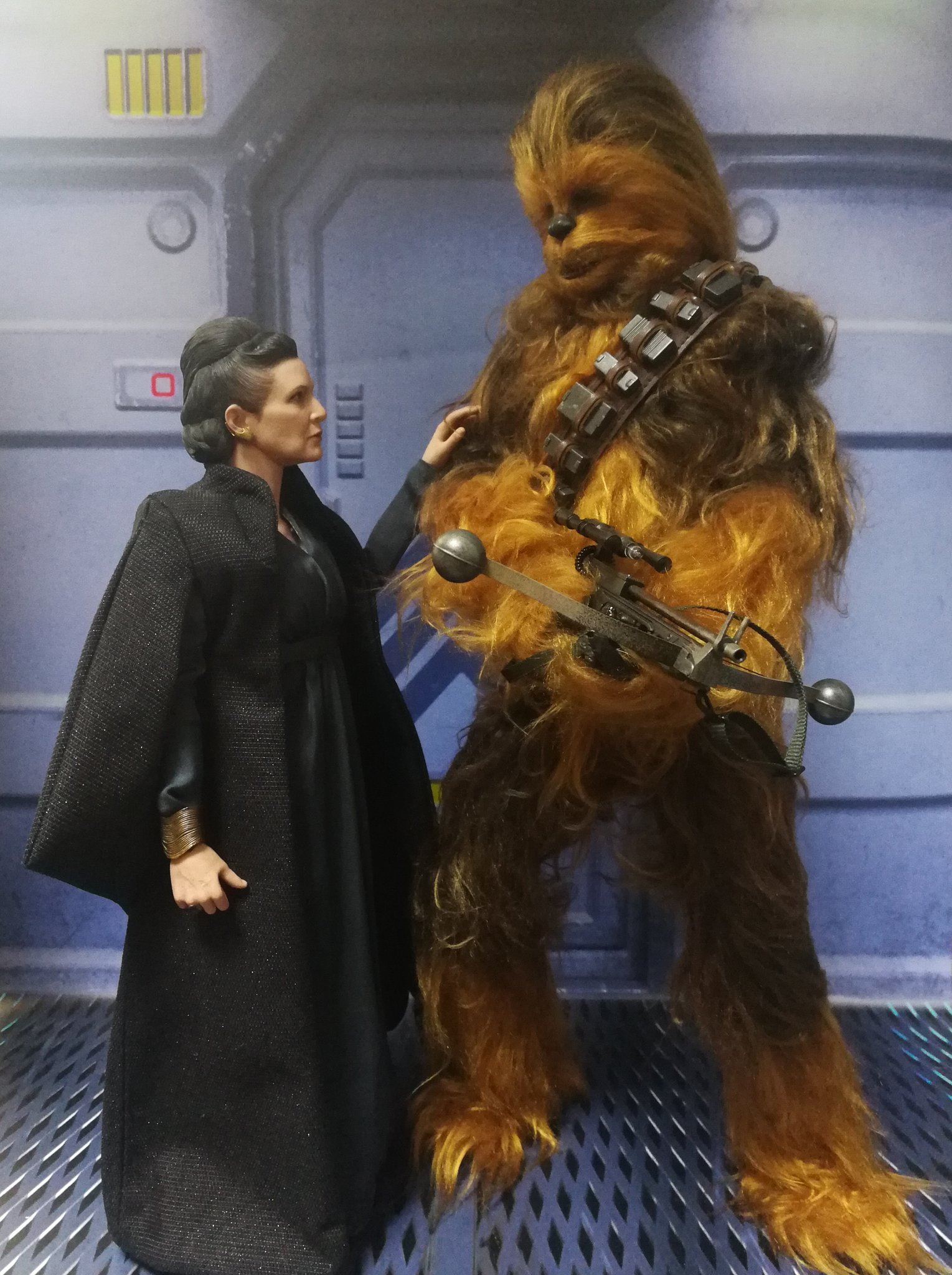 ともきんスカイウォーカー スターウォーズ Starwars ホットトイズ Hottoys チューバッカ Chewbacca ピーター メイヒュー Petermayhew チューイが大好きでした ピーター メイヒューさんのご冥福をお祈りします 天国でキャリーと仲良くね A