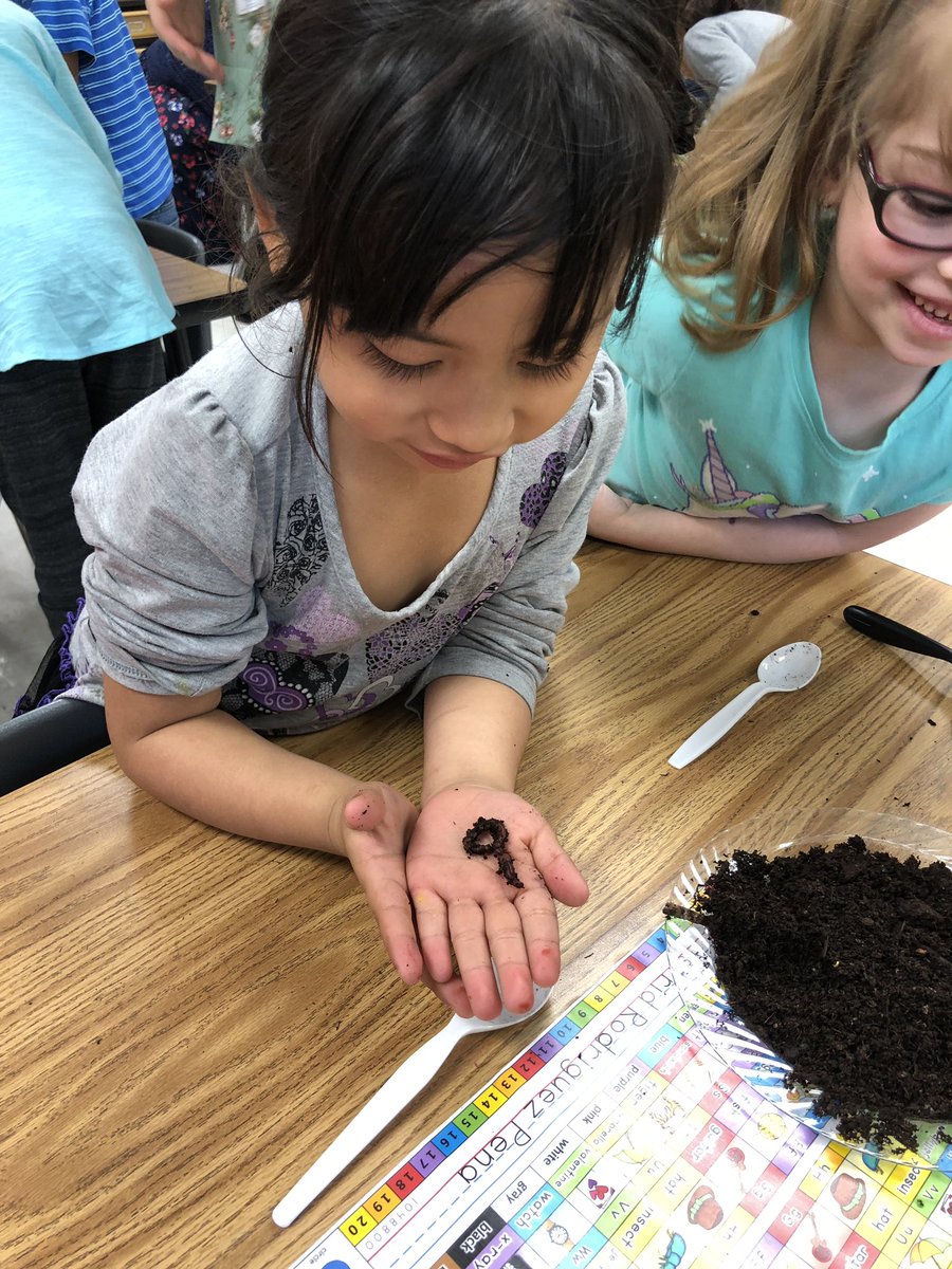 MrsWaldmann's tweet photo. Worms at work!  @SullyES_LCPS https://t.co/QoThNlPI6Q