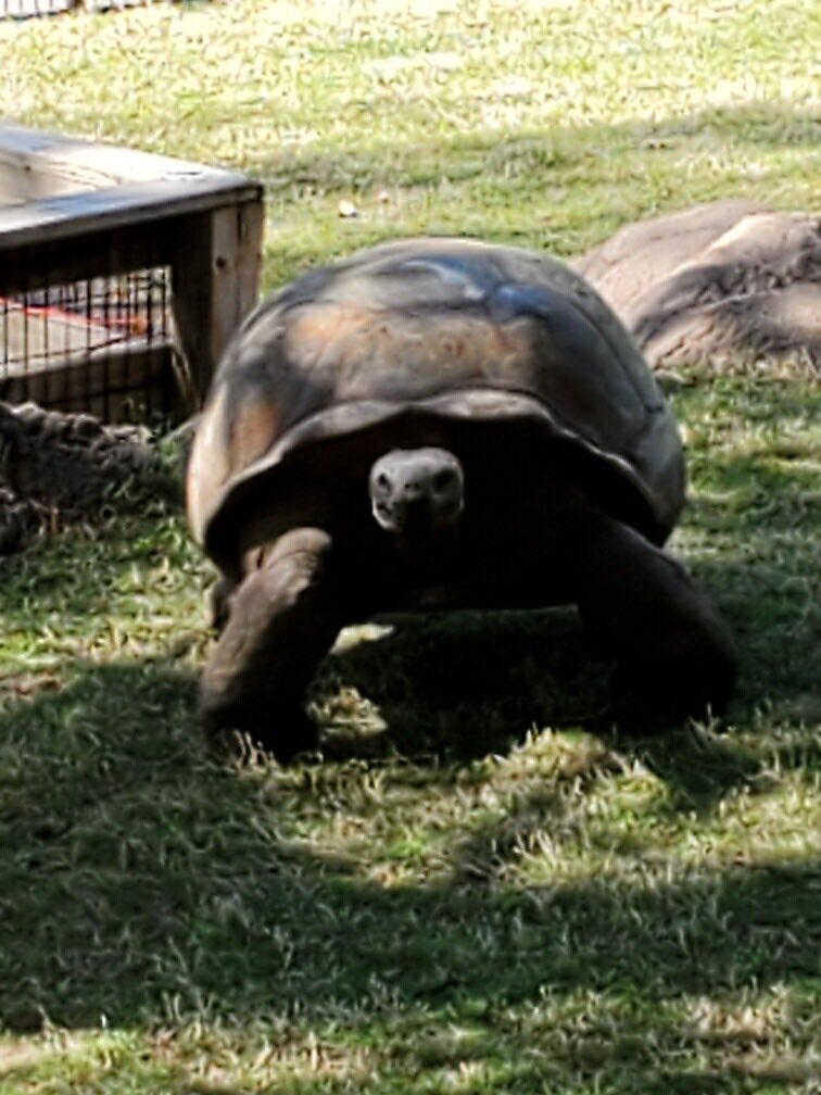 F.D. Moon Academy tweet media