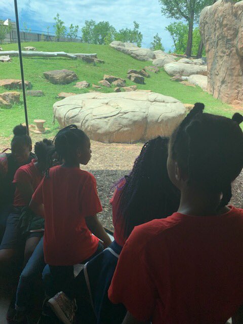 F.D. Moon Academy tweet media