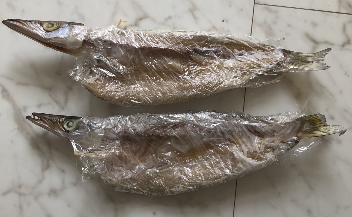 7_reddragon's tweet photo. 先日釣ったカマス君などは天日干しにされ、GW中の我が家の貴重な食糧となっているのであった。😽
#FISHINGRESS https://t.co/HaU1RWmG4O
