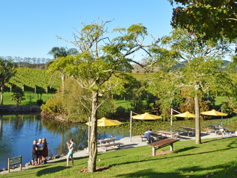 SimplyWedNZ's tweet photo. We have some very exciting news! We've just added a fabulous new venue to our luxe stress-free 6-hour weddings - the beautiful West Brook Winery. https://t.co/hneJmfElRG #vineyardwedding #simplywed #popupwedding https://t.co/R9TXVtsUvS