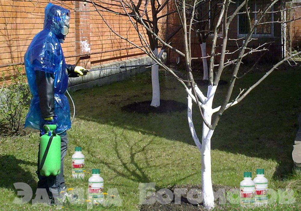 Edcrazybalu's tweet image. В мае оживают #садовые #вредители: zdorovie-kama.ru/statblog/argo-…