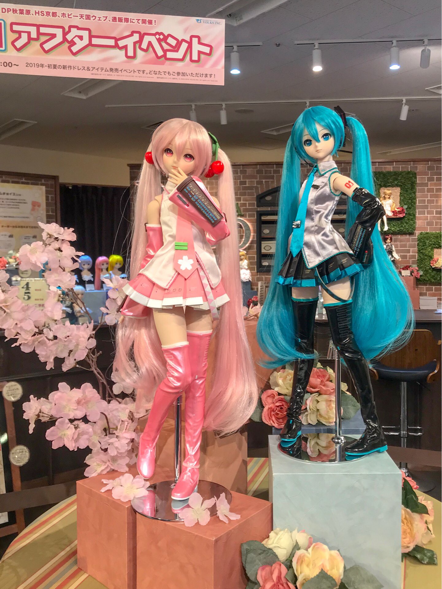 ボークス ドール企画室 DD担当 on X: ボークス ドール企画室 DD担当 on X: