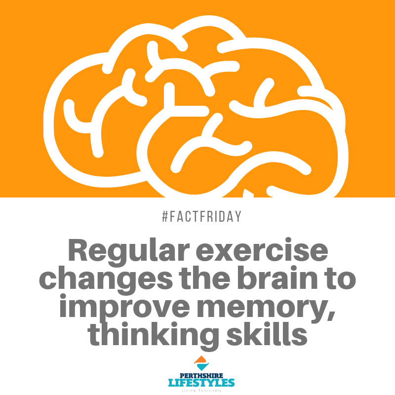 PerthshireLife's tweet photo. Keep your brain fit and healthy too! Put those shoes on and work up a sweat walking, running, cycling, a fitness class - whatever tickles your fancy and gets you heart rate up!

#factfriday #braintraining #beactive #personaltrainer #perthshirelifestyles

https://t.co/wDDp1ovRVt https://t.co/gqEorbJPsE