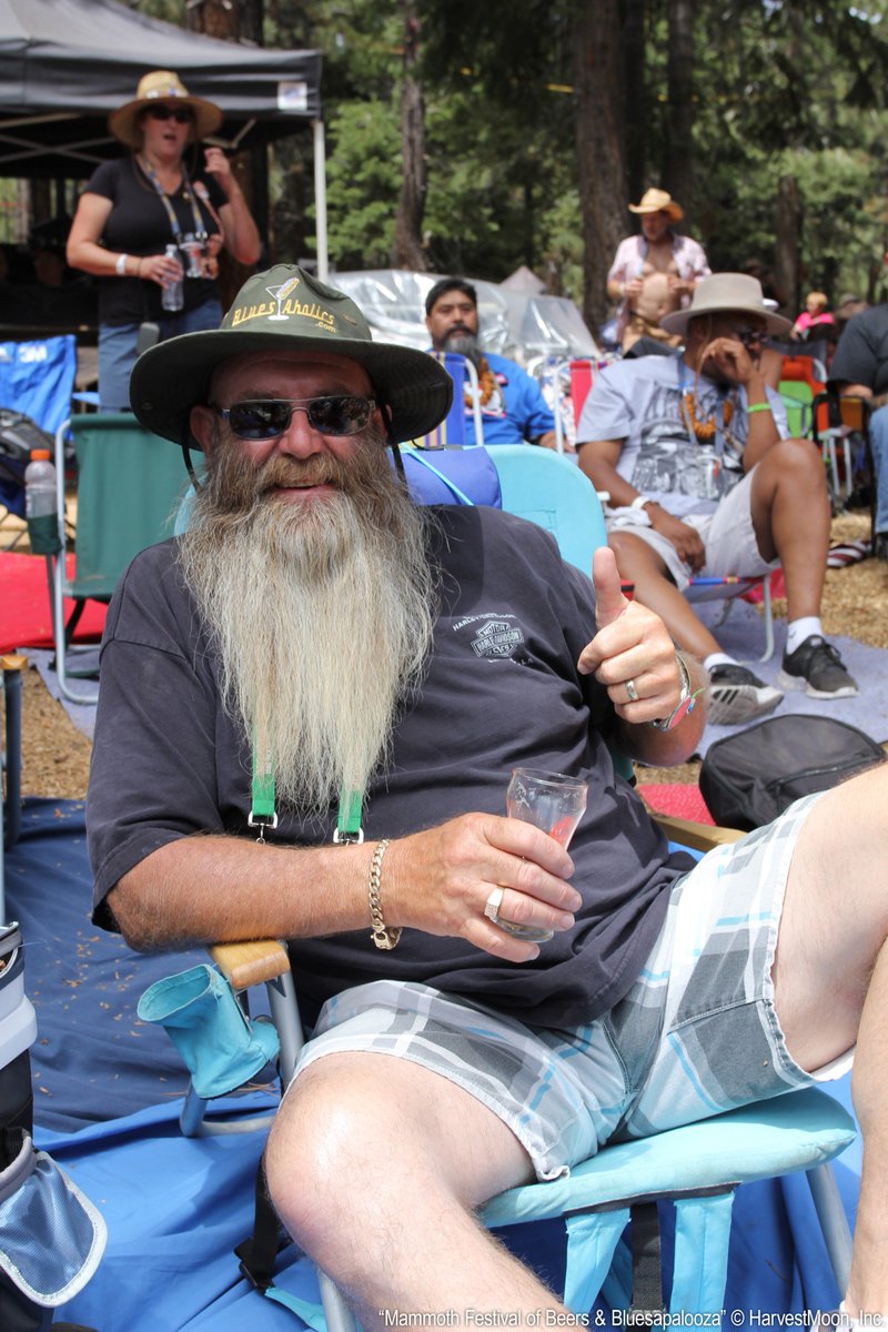 Bluesapalooza tweet media