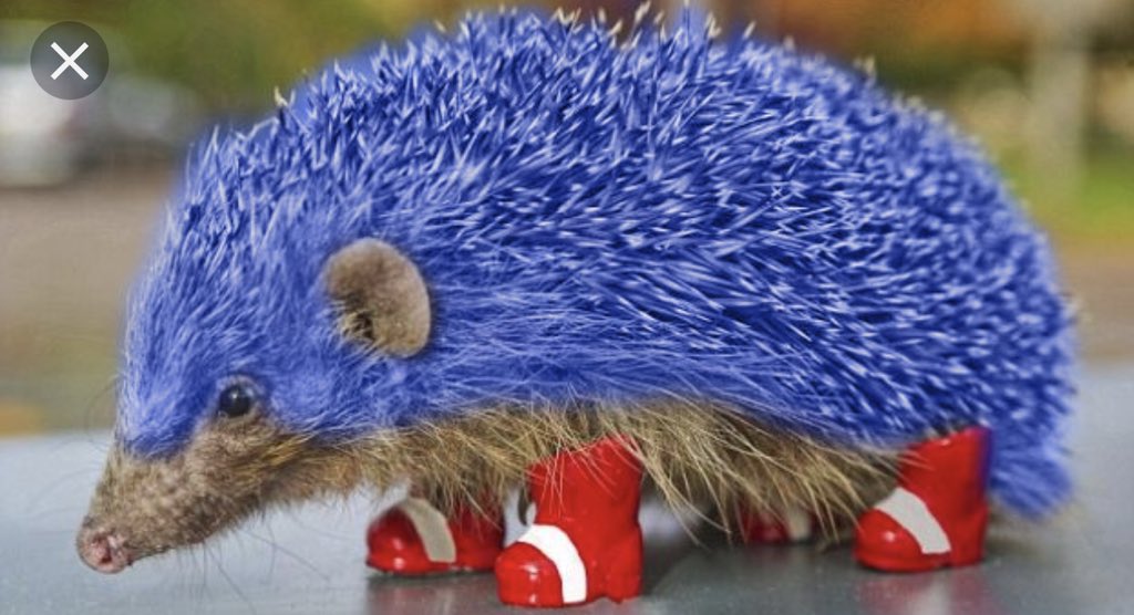 thekingofclumsy's tweet photo. After outcry about sonics look in the new movie, they fixed it, hereβs the trailer sonic and the new and improved sonic they will be going forward with. #fixsonic #sonic2019 https://t.co/dl3CXQolhA