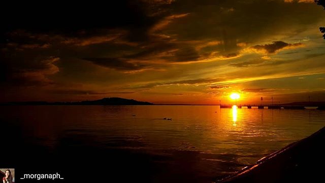 Isola Polvese tweet media