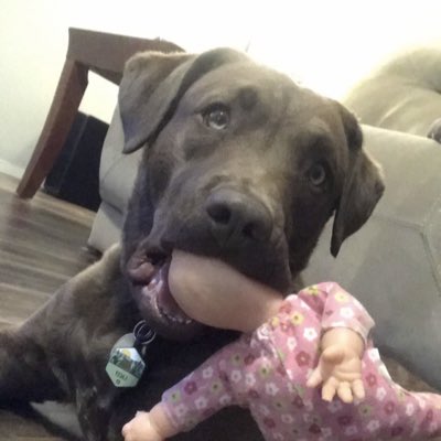 carmstrong1706's tweet photo. #NewProfilePic https://t.co/2JUOrUmzR3