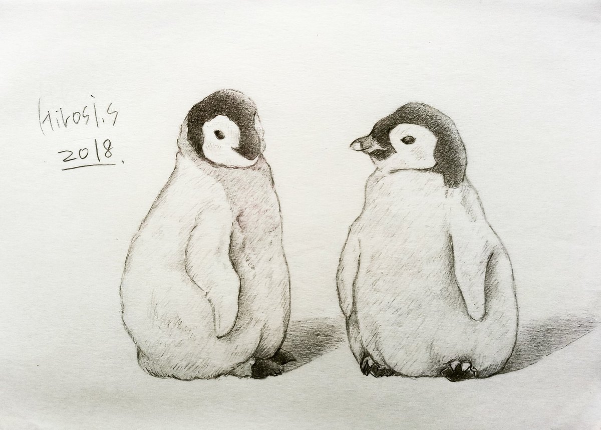 Sixth Draws Drawing Art Artwork Painter Draw Drawing Drawings Sketch Pencilart Cute Beautiful Nice Animal Penguin 模写 絵を描く人々 絵師の集い 絵 落書き デッサン スケッチ シャーペン画 かわいい ペンギン T Co Sixth Draws Drawing Art Artwork Painter Draw Drawing Drawings Sketch Pencilart Cute Beautiful Nice Animal Penguin 模写 絵を描く人々 絵師の集い 絵 落書き デッサン スケッチ シャーペン画 かわいい ペンギン T Co