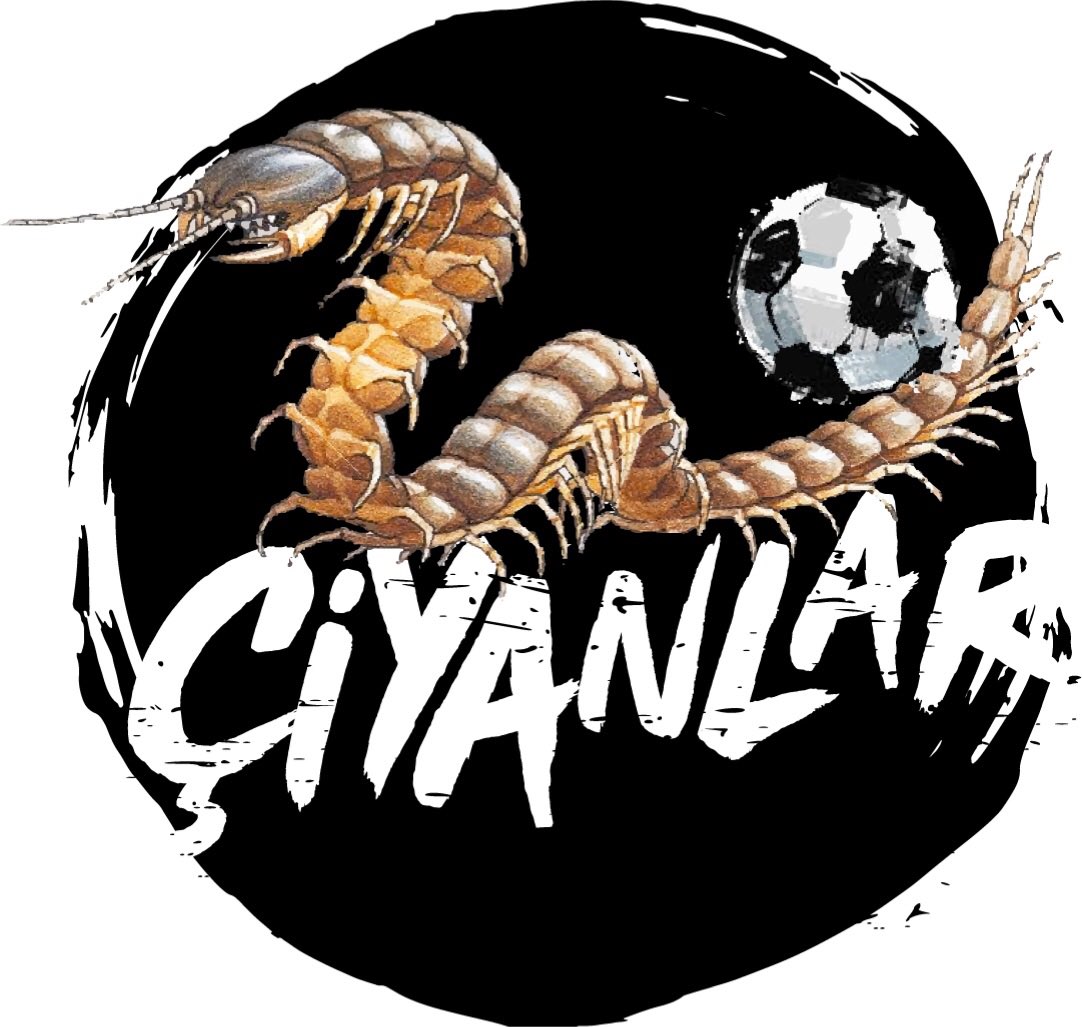 CiyanlarFc's tweet photo. 🏆 Çeyrek Final !!! 🏆 

@VPGTurkey Türkiye Kupası Son 16 Turu sonuçları :

Sakaryaspor 1-3 CIYANLAR ⚽️⚽️⚽️ 

Engelleri birer birer aşarak çeyrek finale katılmaya hak kazanan CIYANLAR takımının oyuncularını tebrik ederiz 👊👊  
#RoadToFinals #LetsGoCiyanlar 

              🔜 🏆 https://t.co/2jpQtoYoeR