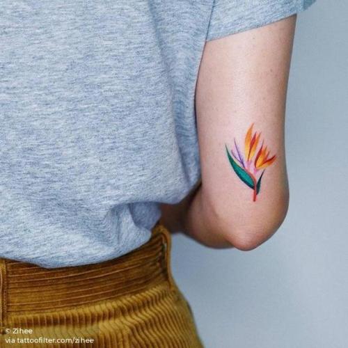 65+ Free Zihee Tattoo Temporary Idea Tattoo Photos 65+ Free Zihee Tattoo Temporary Idea Tattoo Photos