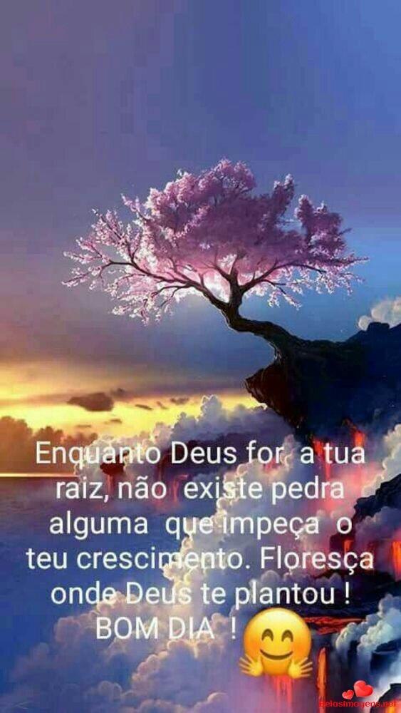 Denise Orquídea on Twitter: Denise Orquídea on Twitter: